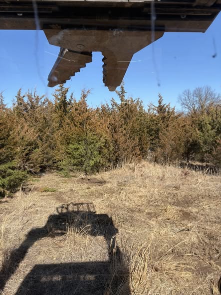 Dense cedar stands before clearing, Missouri ridge property